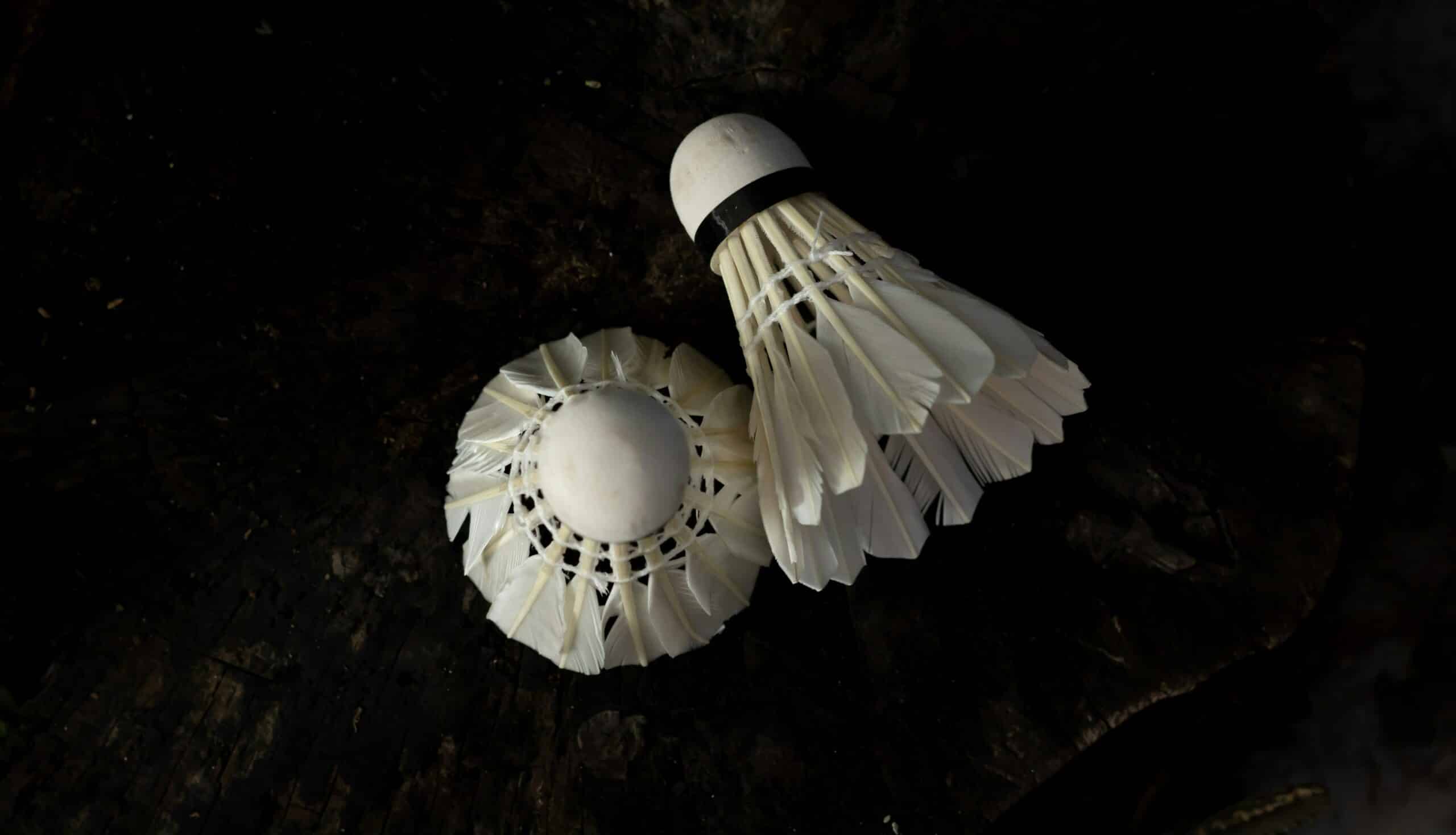 Volant Badminton 6